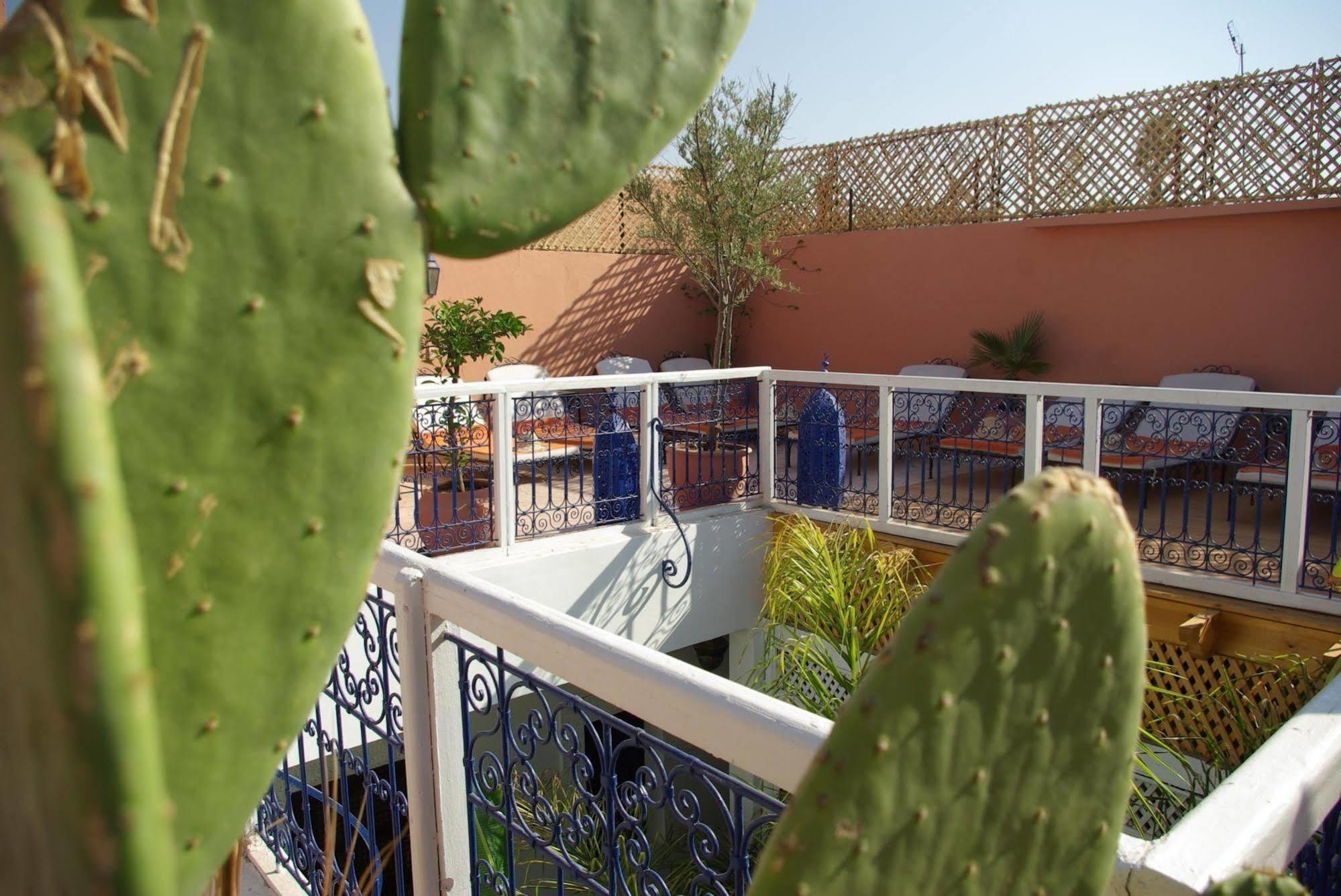 Riad Abaca Badra Marrakesh Eksteriør bilde